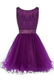 Purple Off the Shoulder Lace Short Charming Homecoming Dresses Cocktail Dresses
