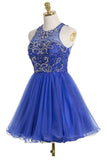 Royal Blue Fashion Halter Back Short Prom Dress Homecoming Dresses Party Gowns