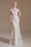 Elegant Lace Mermaid Cap Sleeves Long Beach Wedding Dresses