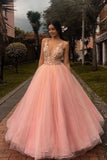 Pink Formal Evening Dress V neck Tulle A Line Lace Applique Long Prom Dress