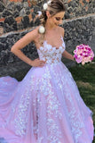A Line Lace Appliques Tulle Gorgeous Backless Evening Dress Long Prom Dress