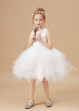 Lace Chic Sleeveless Tulle Flower Girl Dresses