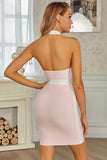 Zipper Low Back Pink Halter Sleeveless Short Homecoming Dress
