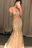 Graduation School Party Gown Champagne Sequins Mermaid Long Prom Dresses