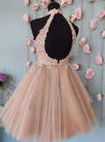 Cute A-line Sleeveless Champagne Lace Tulle Homecoming Dresses