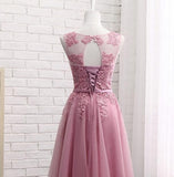 Blush Lace Appliques Open Back A Line Cheap Short Prom Cute Dress Homecoming Dresses
