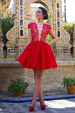Cap Sleeves Deep V Neck Red Lace Mini Length Homecoming Dresses Prom Hoco Dress