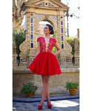 Cap Sleeves Deep V Neck Red Lace Mini Length Homecoming Dresses Prom Hoco Dress