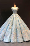 Luxurious 3D Floral Lace Light Blue Ball Gown Prom Dress Formal Evening Grad Dresses