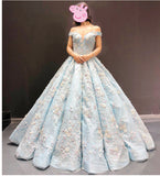 Luxurious 3D Floral Lace Light Blue Ball Gown Prom Dress Formal Evening Grad Dresses