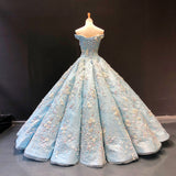Luxurious 3D Floral Lace Light Blue Ball Gown Prom Dress Formal Evening Grad Dresses