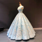 Luxurious 3D Floral Lace Light Blue Ball Gown Prom Dress Formal Evening Grad Dresses