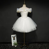 Charming Princess Ball Gown Light Blue Cute 16 Sweet Dress Short Prom Homecoming Dresses LD3045