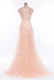 Fashion Light Pink Lace Appliques Tulle Long Prom Dresses Formal Evening Dress Party Gowns