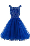 Back Short Royal Blue Beaded Open Homecoming Dresses Prom Gowns Cocktail Dress