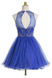 Royal Blue Fashion Halter Back Short Prom Dress Homecoming Dresses Party Gowns
