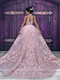 New Arrival See Through Pink Lace Luxury Prom Dresses Evening Prom Gowns Party Dress