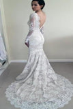 Long Sleeves Lace Back V Mermaid Wedding Dresses Bridal Dress Wedding Gowns