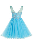 Real Picture Blue Lace Tulle Back V Mini Homecoming Dresses Prom Cute Dress Party Gowns