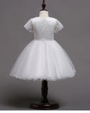 Princess Short Sleeves White Lace Tulle Long Flower Girl Dress