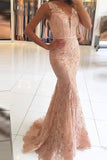 Pink Lace Mermaid Prom Dress V Neck Long Evening Dress Party Gown