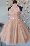 Cute A-line Sleeveless Champagne Lace Tulle Homecoming Dresses
