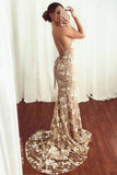 V-Neck Backless Lace Spaghetti Straps Appliques Mermaid Prom Dresses