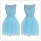 Fitted Tulle Lace Homecoming Dress Short Prom Dresses - Laurafashionshop